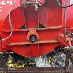 ラッセルの画像