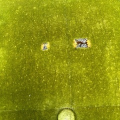 カリモク　2シーター　モケットグリーン　　の画像