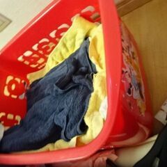 ミッキー　３点　他折り畳みなどの画像