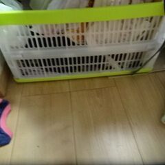 ミッキー　３点　他折り畳みなどの画像