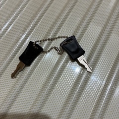 鍵2本付きキャリーケースホワイトの画像