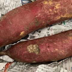 さつまいも　2本の画像