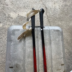 TOTO 135センチ　ストックの画像