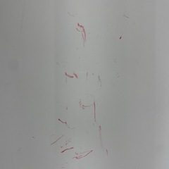 キッズ用ハンガー付き収納の画像