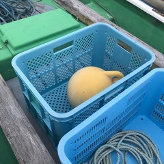 小舟と浮、竿太いの画像