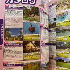 ペットとお出かけ本の画像