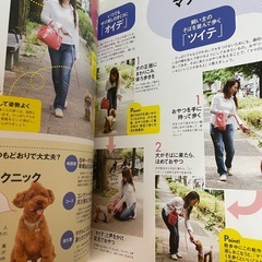 愛犬 マナー𝗕𝗢𝗢𝗞！賢く育てる🐶の画像