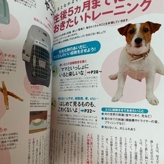 愛犬 マナー𝗕𝗢𝗢𝗞！賢く育てる🐶の画像
