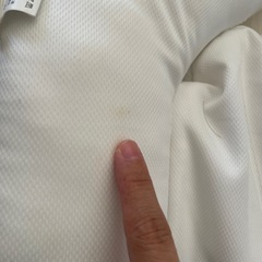 ケラッタ　イブルベットインベットの画像