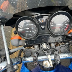YBR125の画像