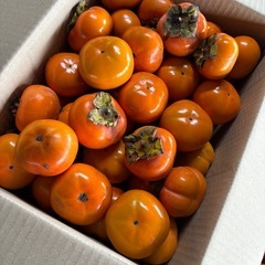 無農薬　柿50個の画像