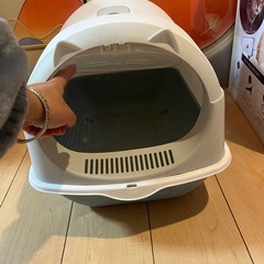 猫トイレの画像