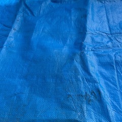 ブルーシート
の画像
