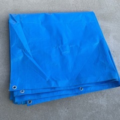 ブルーシート
の画像