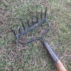 8本爪レーキ195センチの画像