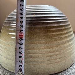 プラ製🪷軽〜いビオトープ睡蓮鉢メダカ水槽の画像