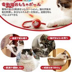 猫 おもちゃの画像