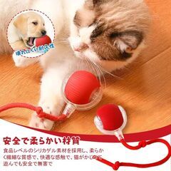 猫 おもちゃの画像