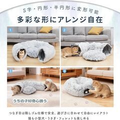 猫トンネルの画像