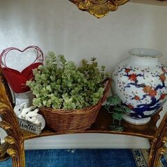 オレガノ　ユノ　ドライフラワー二種類の画像