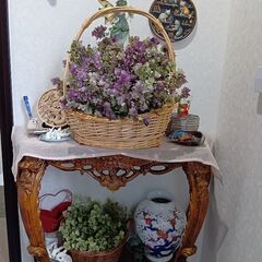 オレガノ　ユノ　ドライフラワー二種類の画像