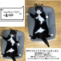 囲い付きペットベッドの画像