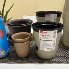 観葉植物の鉢の画像