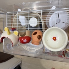 【総額4万円超】ﾊﾑｽﾀｰ飼育setの画像