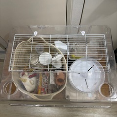 【総額4万円超】ﾊﾑｽﾀｰ飼育setの画像