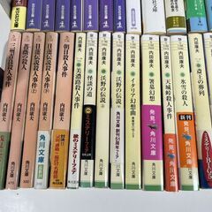 文庫 小説 内田康夫 55冊セットの画像
