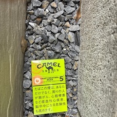 庭石　砂利の画像