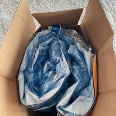 ビニールプールの画像