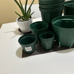 観葉植物の鉢底の画像