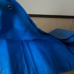 ブルーシートの画像