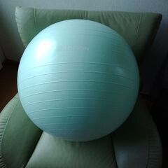 バランスボールの画像