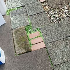 赤レンガ　の画像