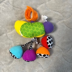 sassyのおもちゃの画像