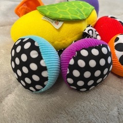 sassyのおもちゃの画像