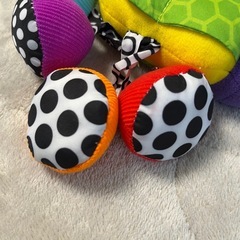 sassyのおもちゃの画像