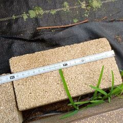 ブロック　1個〜の画像