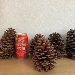 大きな松ぼっくり(いっぱいあります)の画像