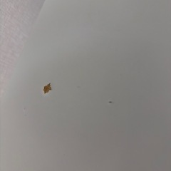 サイドテーブル IKEA イケア リーアン RIAN ホワイトの画像