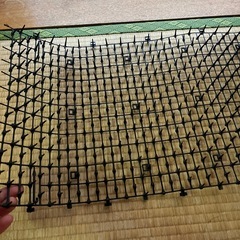 猫よけ　ネット　網　とげとげの画像