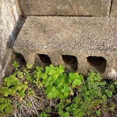 ブロック　1個〜の画像