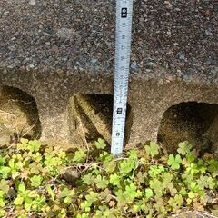 ブロック　1個〜の画像