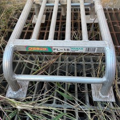 棚下ステップの画像