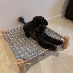 ペット用ハイベッドの画像