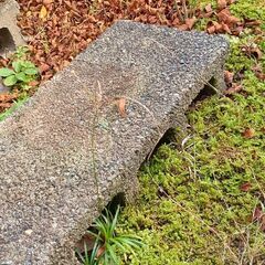 ブロック 1つ〜の画像