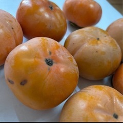 柿 10個　約2キロ　奈良県産の画像