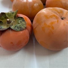 柿 10個　約2キロ　奈良県産の画像